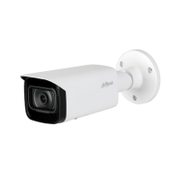 DAHUA DH-IPC-HFW2231TP-AS-0360B IP-камера